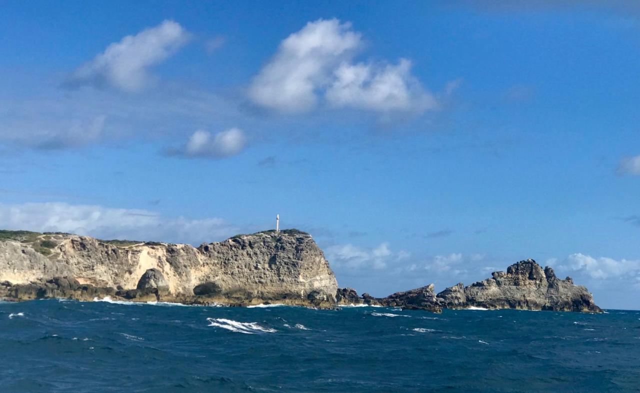 Villa Coco Paradise A 800M De La Mer سانت فرانسوا المظهر الخارجي الصورة